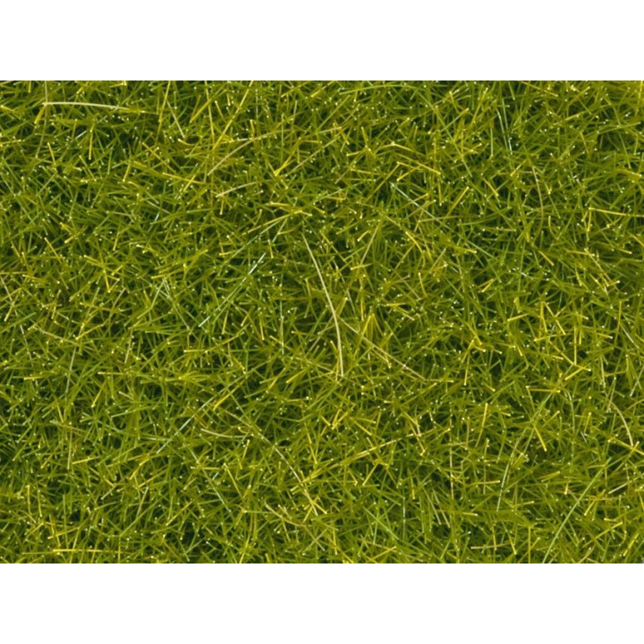 Statická tráva, alpská lúka, 2,5 mm, 20 g