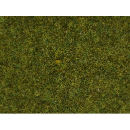 Statická tráva, lúka, 4 mm, 20 g  NO08361