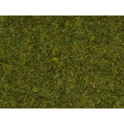 Statická tráva, lúka, 4 mm, 20 g  NO08361