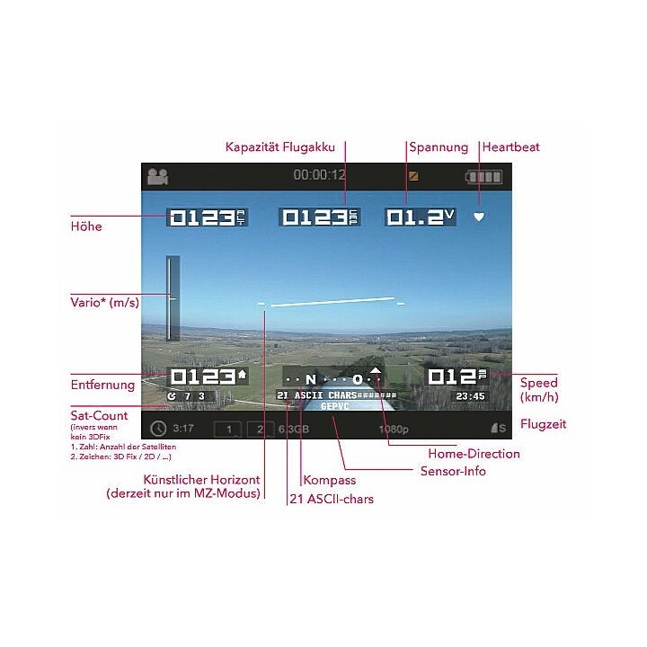 ON SCREEN DISPLAY MODUL / HoTT OSD
