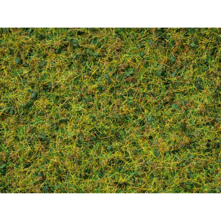 Posyp, pastvina, 50 g, 2.5 - 6 mm  NO07073