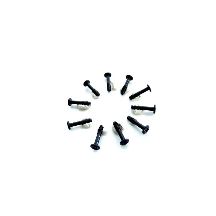 Šroub s půlkulatou hlavou 2x10 mm (10 ks)