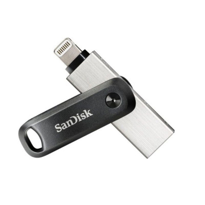 SanDisk Apple SDIX60N256G