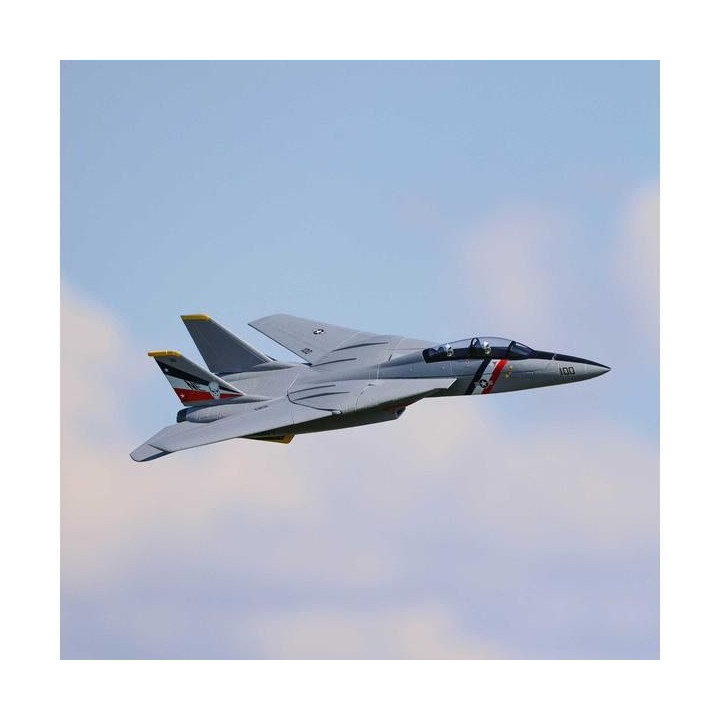 E-flite F-14 Tomcat 0.76m BNF Basic