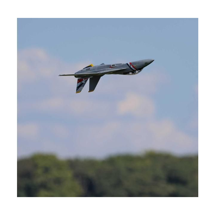 E-flite F-14 Tomcat 0.76m BNF Basic
