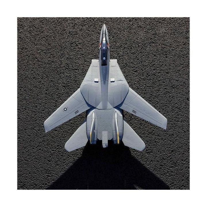 E-flite F-14 Tomcat 0.76m BNF Basic