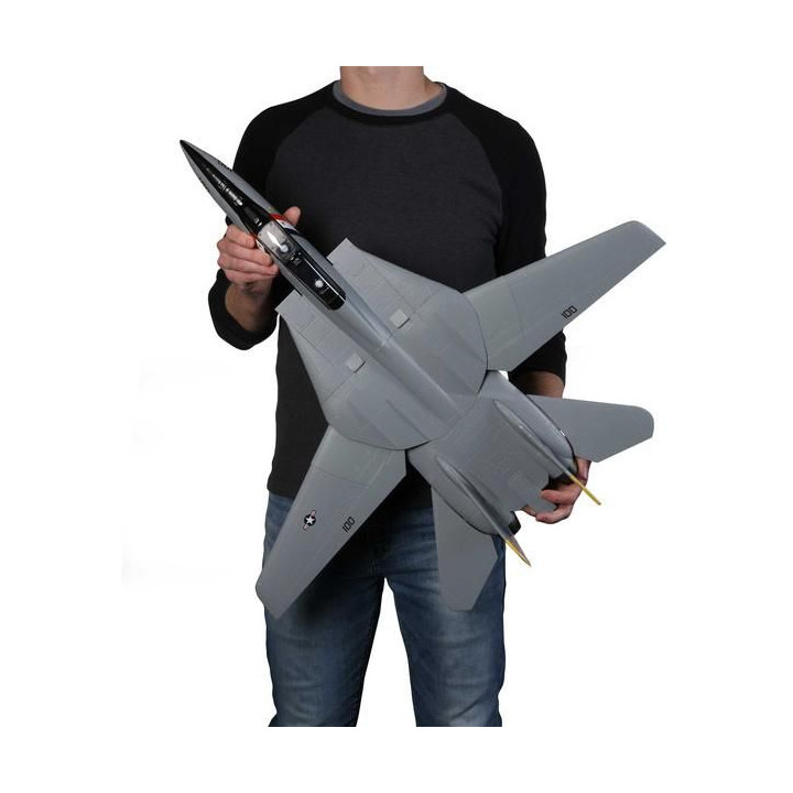 E-flite F-14 Tomcat 0.76m BNF Basic