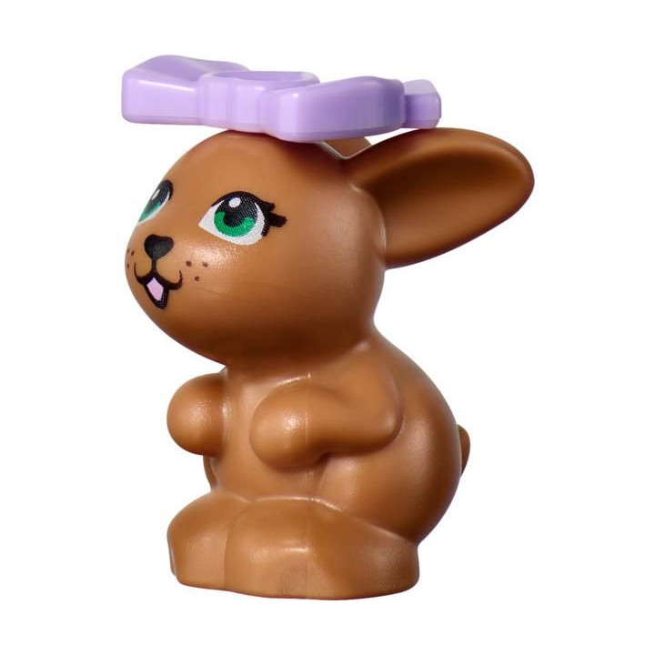 LEGO Friends - Veterinární klinika