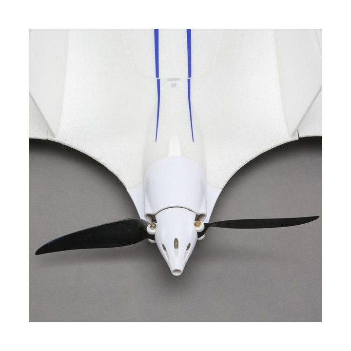 E-flite Opterra 2.0m SAFE Select BNF Basic