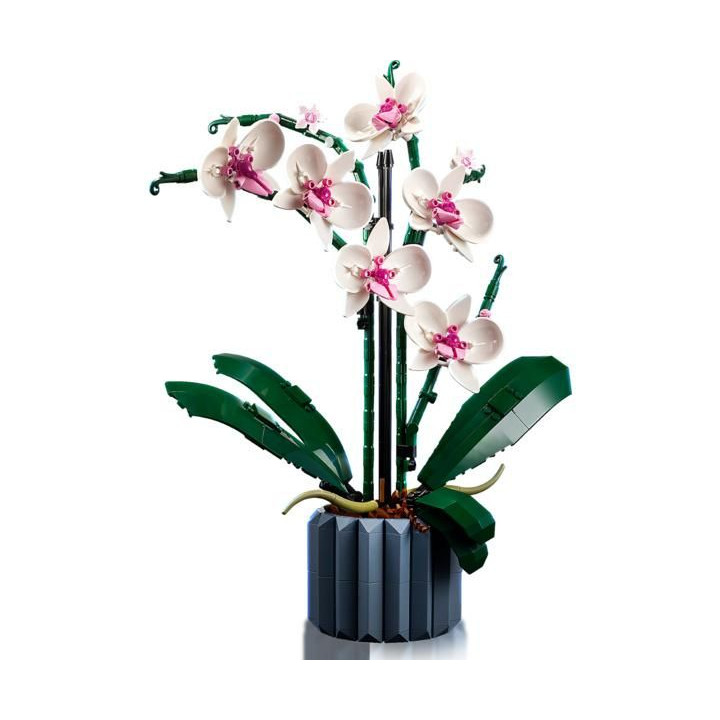 LEGO Icons - Orchidej