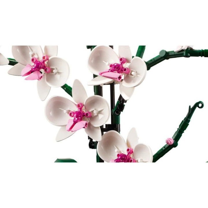 LEGO Icons - Orchidej
