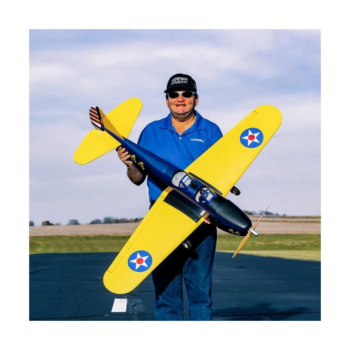 Hangar 9 PT-19 1.4m PNP