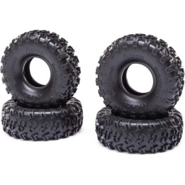 Axial pneu 1.0" Rock Lizards (4): AX24