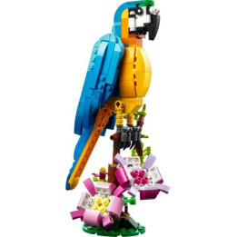 LEGO Creator - Exotický papoušek