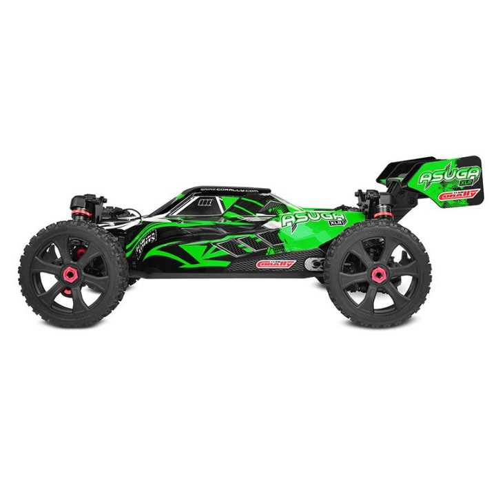 ASUGA XLR 6S - BUGGY 4WD - PRO ROLLER šasi - bez elektroniky - zelená