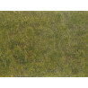 Vytvoríte realistický podklad v prírodných farbách za krátky čas? Vďaka novému nástroju Groundcover Foliage to nie je problém.