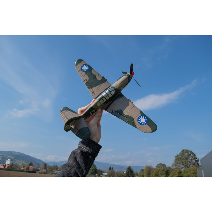 MODSTER MDX P-40 Warhawk 400mm Electric Motor Warbird RTF incl. 6-axis