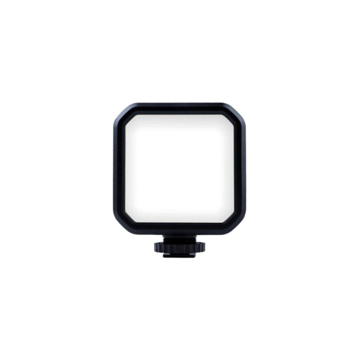 Adjustable LED Light (With Battery)