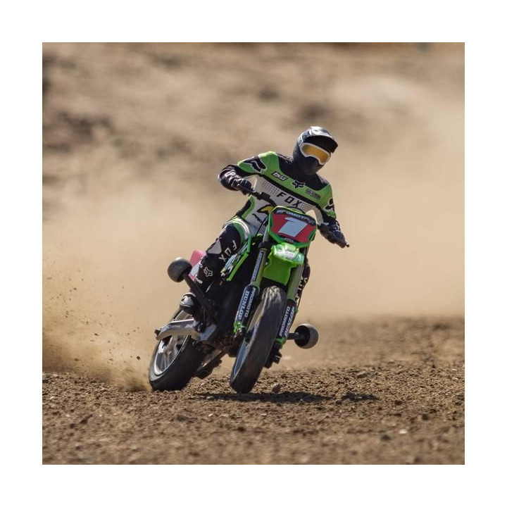 Losi Promoto-MX Motorcycle 1:4 RTR, Pro Circuit