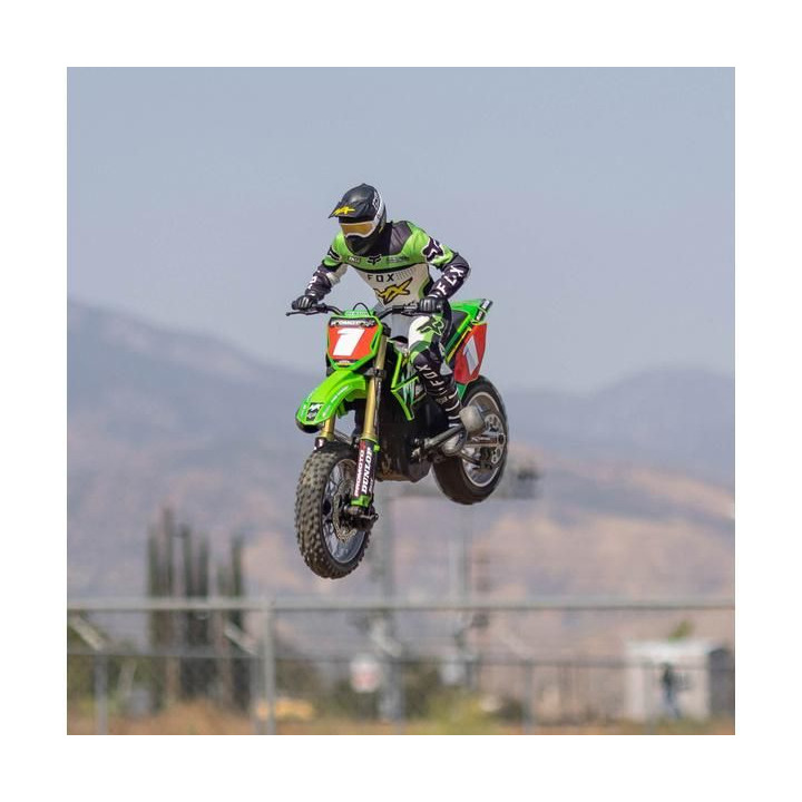 Losi Promoto-MX Motorcycle 1:4 RTR, Pro Circuit