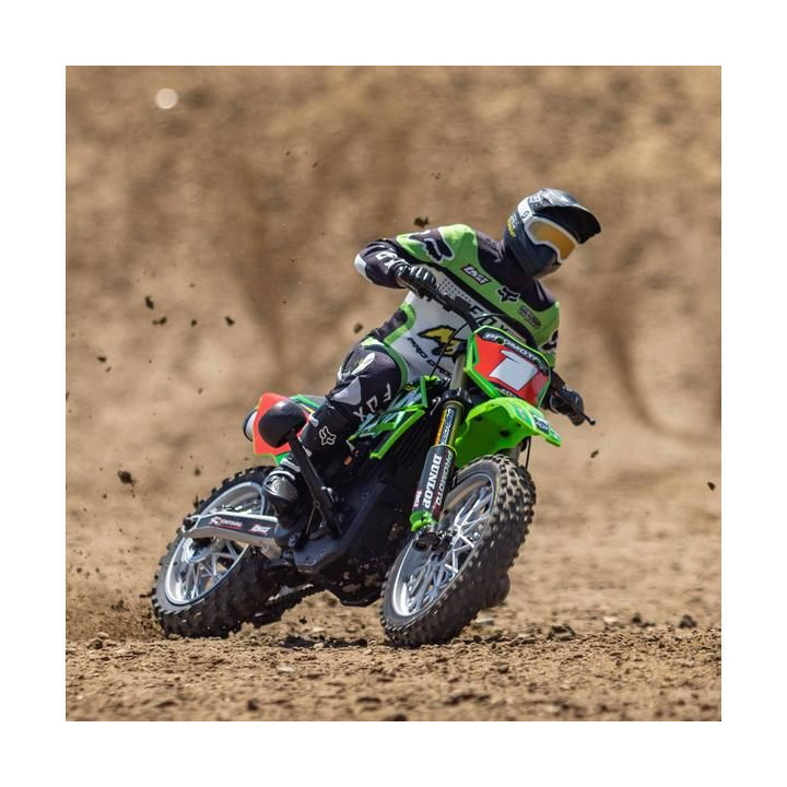 Losi Promoto-MX Motorcycle 1:4 RTR, Pro Circuit