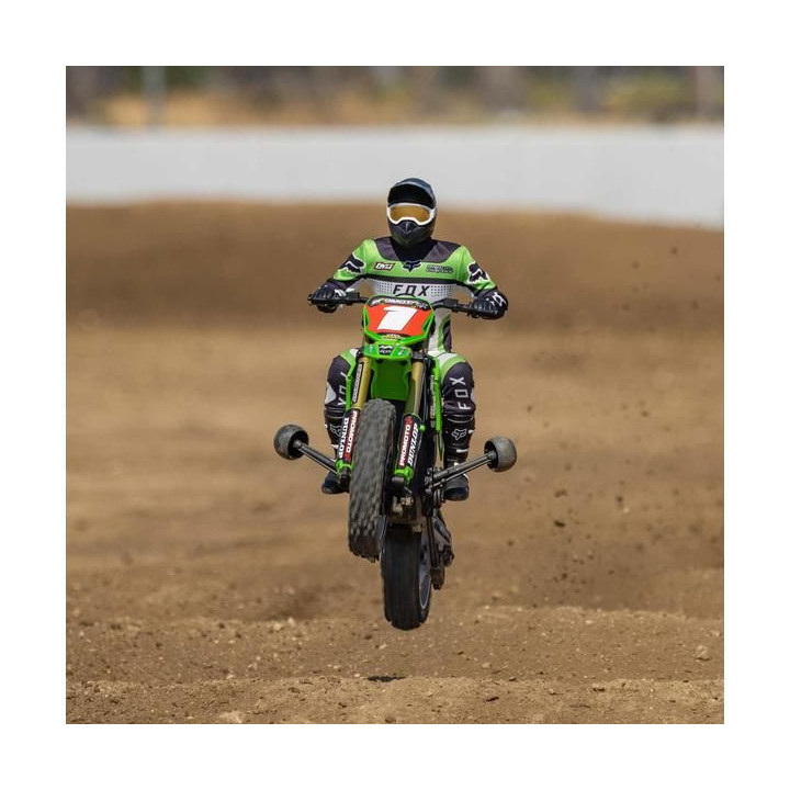 Losi Promoto-MX Motorcycle 1:4 RTR, Pro Circuit