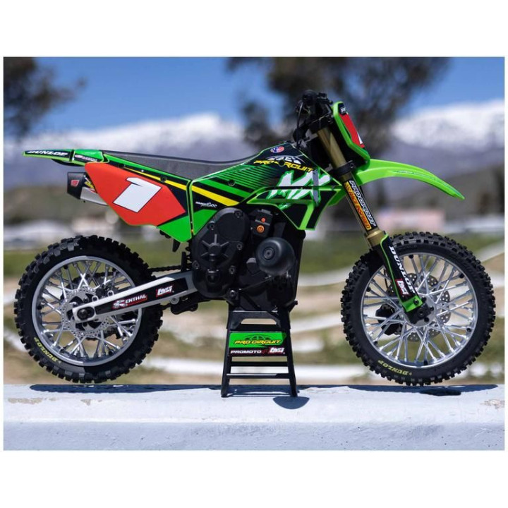 Losi Promoto-MX Motorcycle 1:4 RTR, Pro Circuit