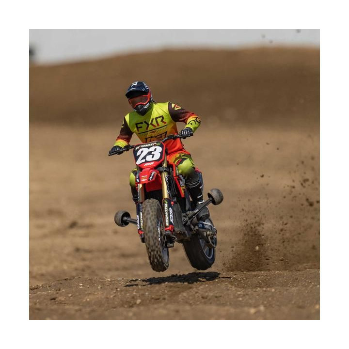 Losi Motorka Promoto-MX 1:4 RTR, FXR