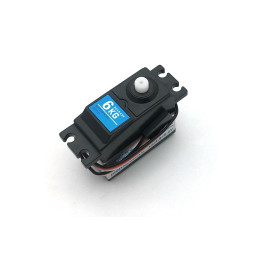 Servo - 6kg