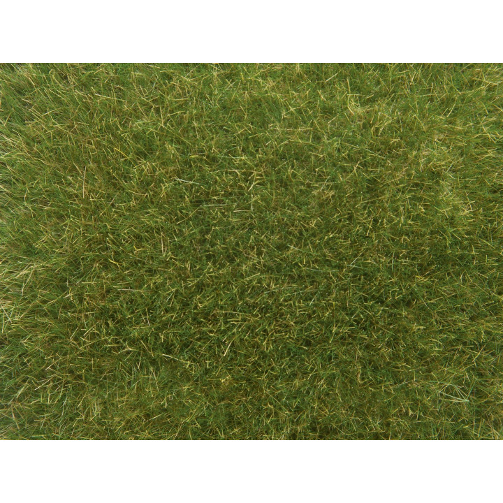 NOCH Divoká tráva, stredne zelená, 9 mm, 50 g