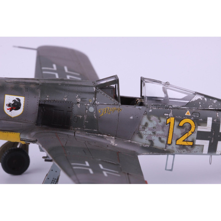 EDUARD Fw 190A-8/ R2 1/72