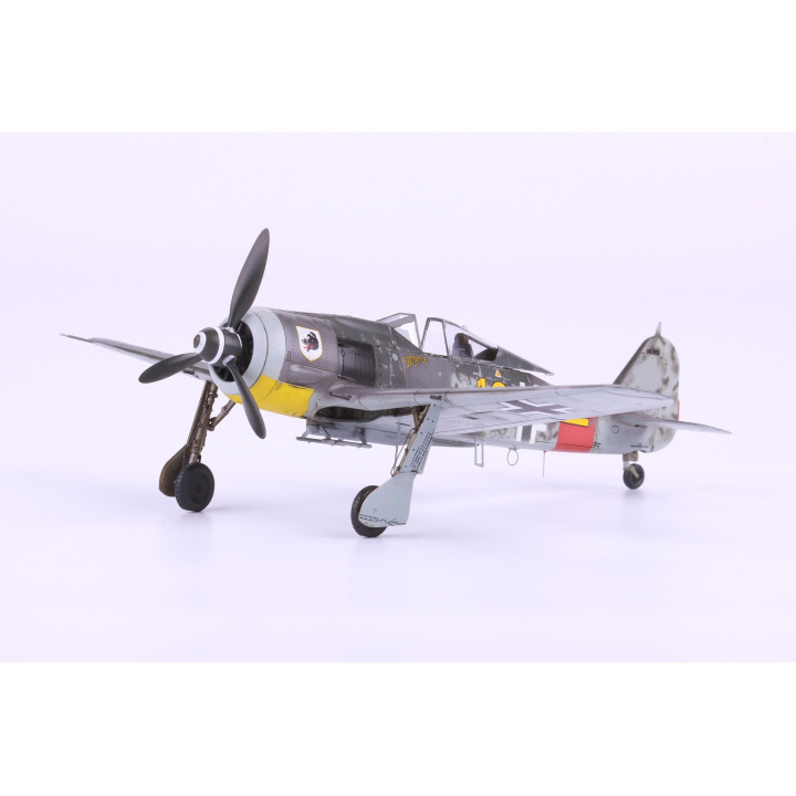 EDUARD Fw 190A-8/ R2 1/72