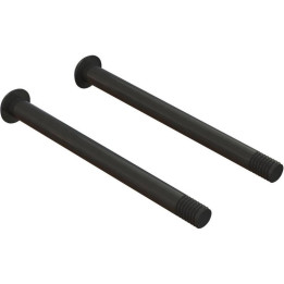 Arrma čep závěsu se závitem M3x37mm (2)
