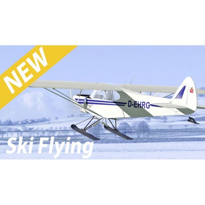 Aerofly RC10 na DVD pro Win8.1/10/11