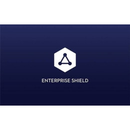 DJI Mavic 2 (DUAL) Enterprise Shield