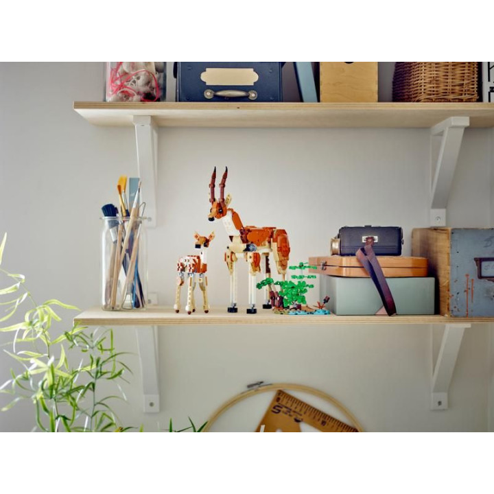 LEGO Creator - Divoká zvířata ze safari