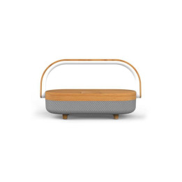 Multi-function Wireless Charger with Speak and Light (With Battery)
