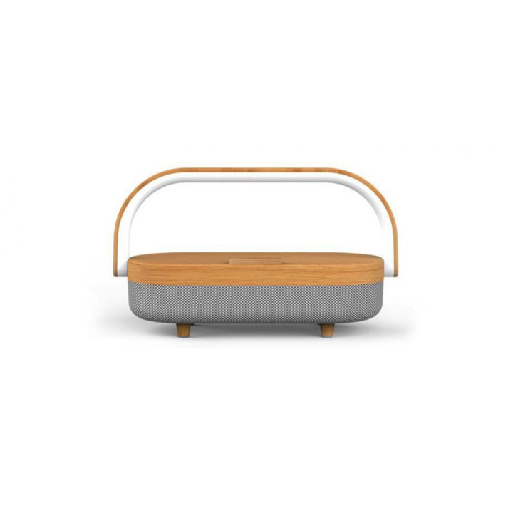 Multi-function Wireless Charger with Speak and Light (With Battery)
