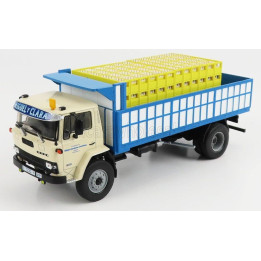 EDICOLA EBRO P260 TRUCK 2-ASSI 1976 - BEIGE WHITE BLUE 1/43