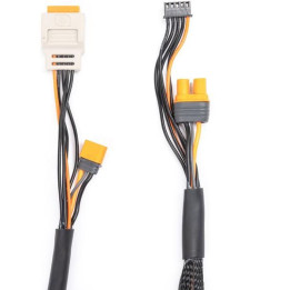 Spektrum Charge Lead with Balance Extension 24" IC5, 2-6S