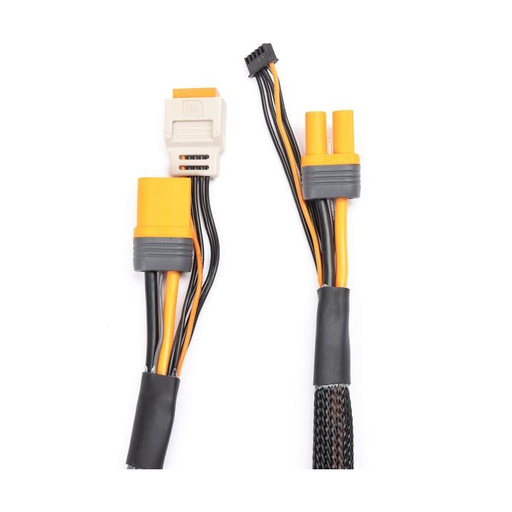 Spektrum Charge Lead with Balance Extension 24" IC5, 2-4S