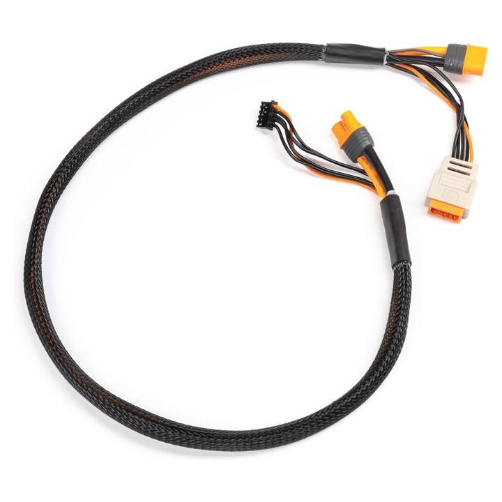Spektrum Charge Lead with Balance Extension 24" IC3, 2-6S
