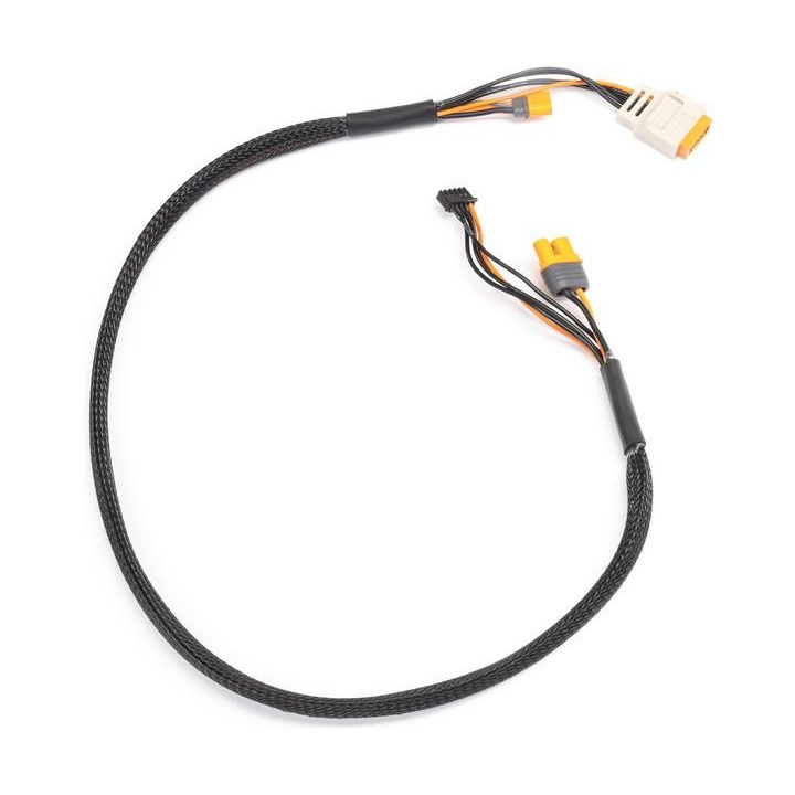 Spektrum Charge Lead with Balance Extension 24" IC5, 2-6S
