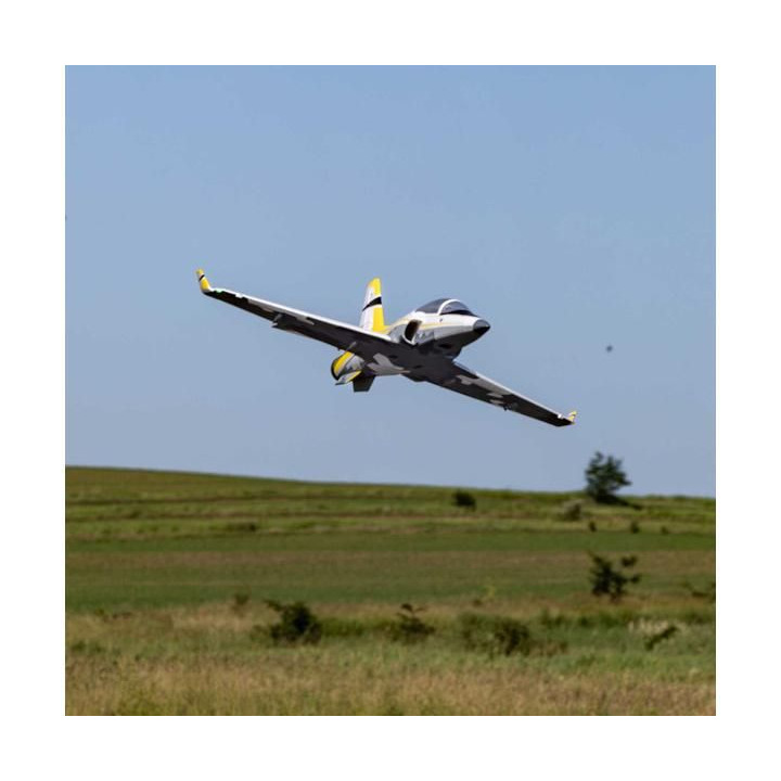 E-flite Viper 1.07m 64mm EDF PNP