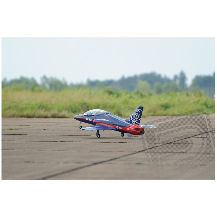 JDF02 Sea Hawk 1600mm 1:6,25 EDF120mm