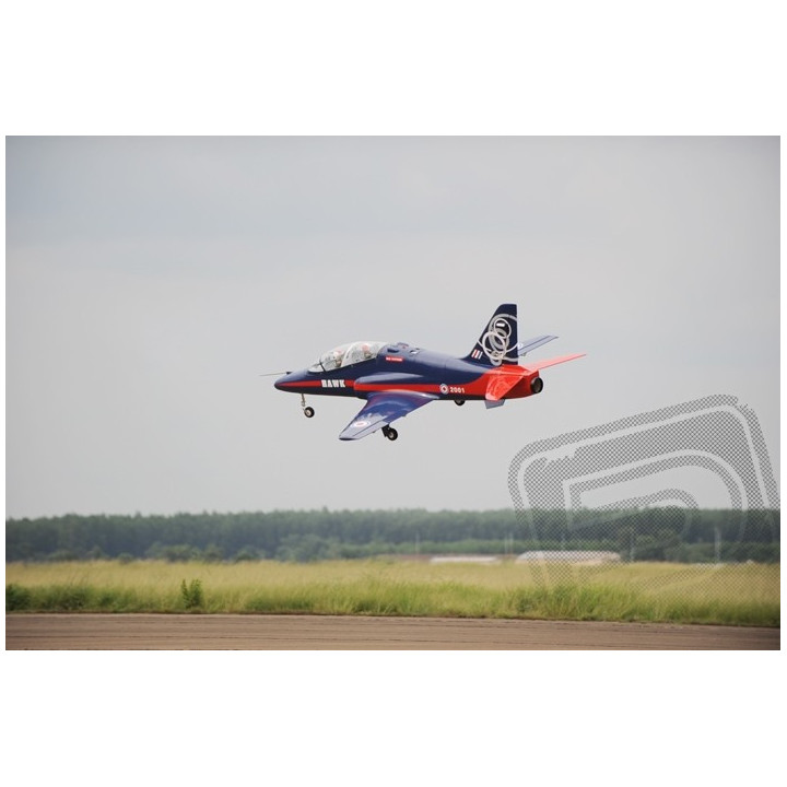JDF02 Sea Hawk 1600mm 1:6,25 EDF120mm