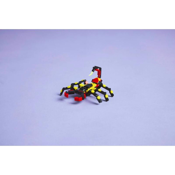 LEGO Creator - Divoká zvířata: Překvapivý pavouk