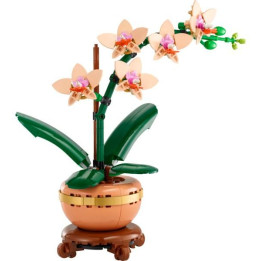 LEGO Botanicals - Miniaturní orchidej