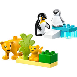 LEGO DUPLO - Rodinky divokých zvířat: Tučňáci a lvi