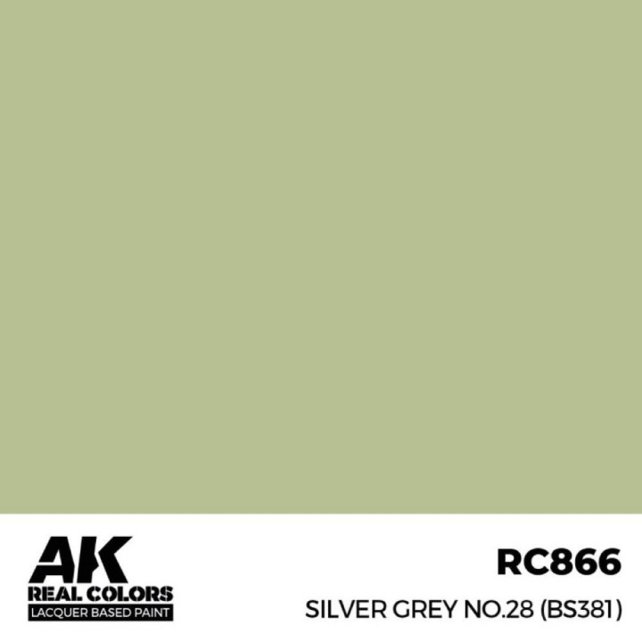 Silver Grey No.28 (BS381) 17 ml